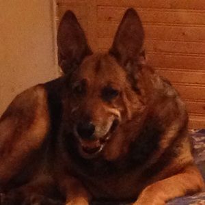 Meet your Posher, Ginny